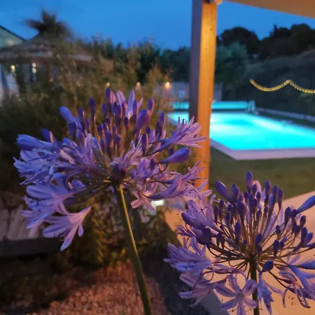 Holiday home Maison L'inattendu Avec & Piscine Privatifs Moussan